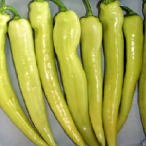 PAPRIKA SÁRAREZ F1 1 ks