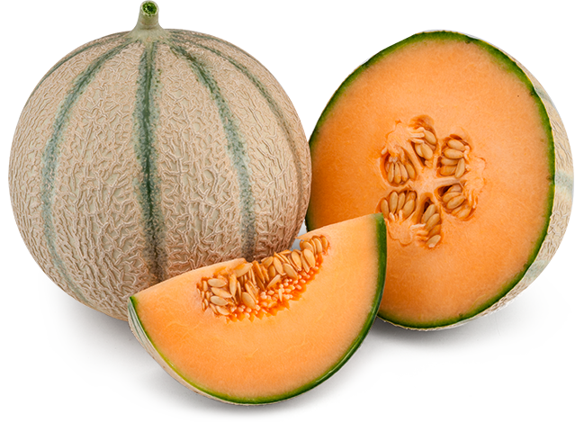 MELON CUKROVÝ s oranžovou dužinoukv. 9 cm -1ks