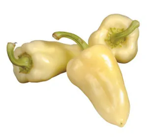 PAPRIKA "AMY F1" 1ks