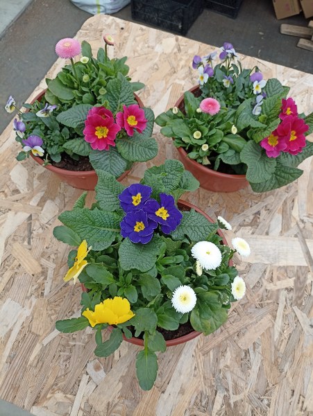 Miska 23 cm - jarný mix