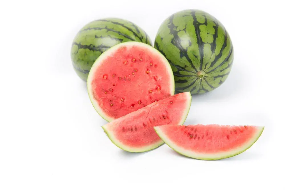 MELON VODOVÝ - "MIRSINI F1" kv. 9cm - 1ks